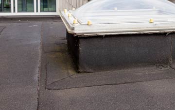 disadvantages of Alltwalis flat roofs